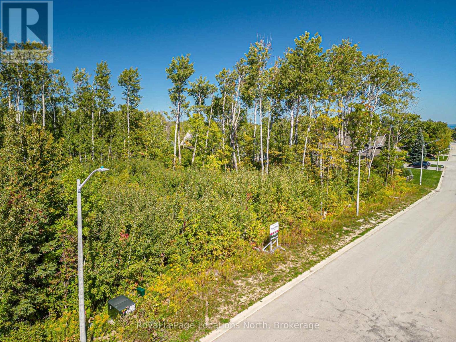 101 Salzburg Place, Blue Mountains, Ontario  L9Y 0S2 - Photo 37 - X12414816
