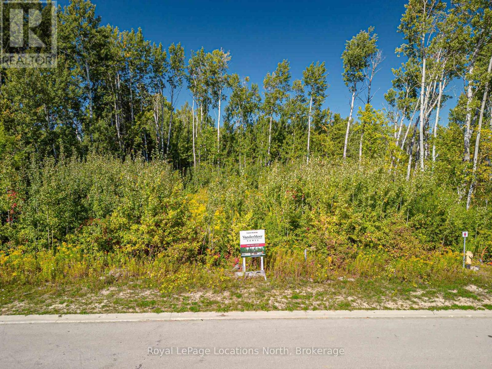 101 Salzburg Place, Blue Mountains, Ontario  L9Y 0S2 - Photo 40 - X12414816