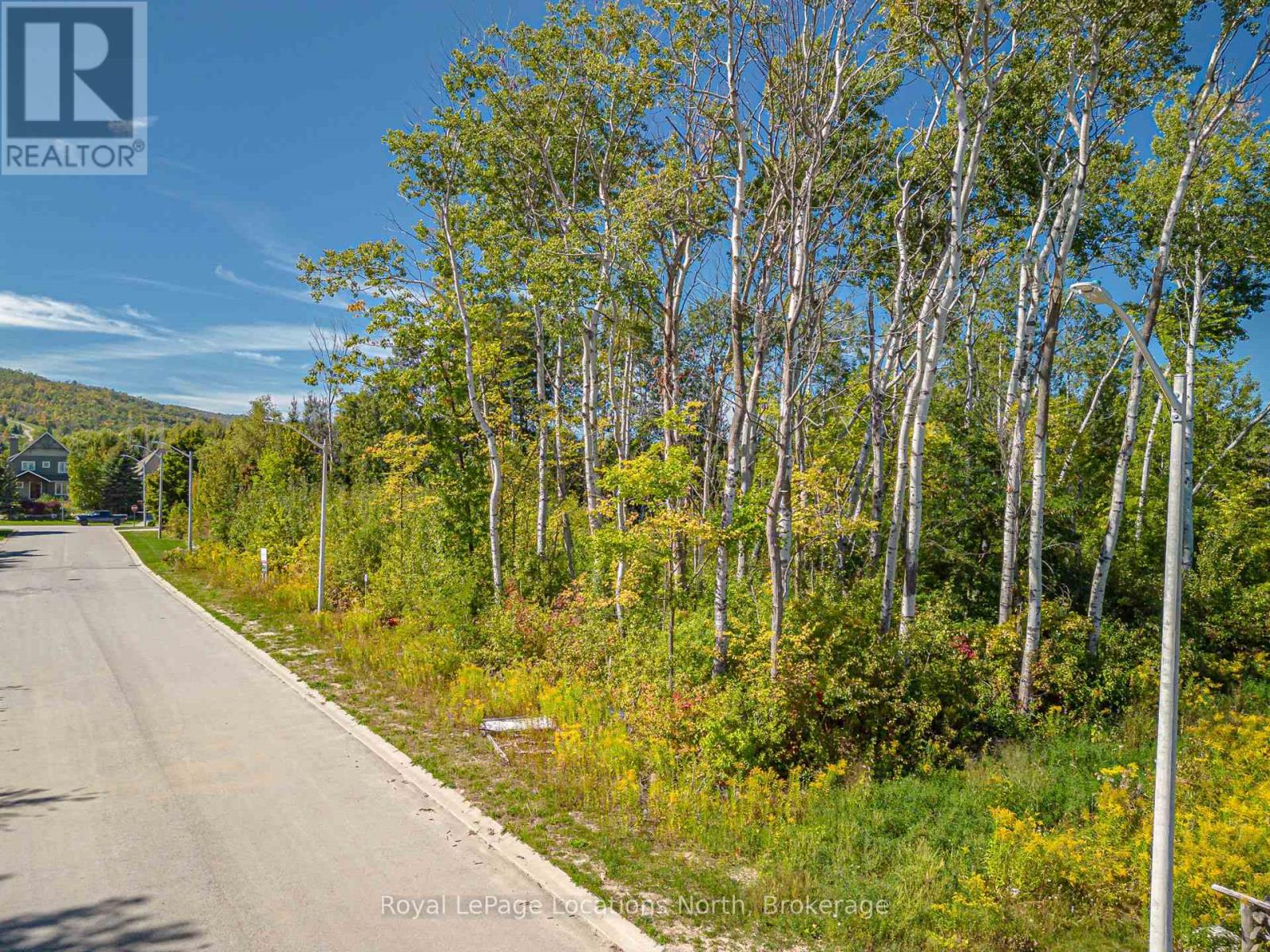 101 Salzburg Place, Blue Mountains, Ontario  L9Y 0S2 - Photo 5 - X12414816