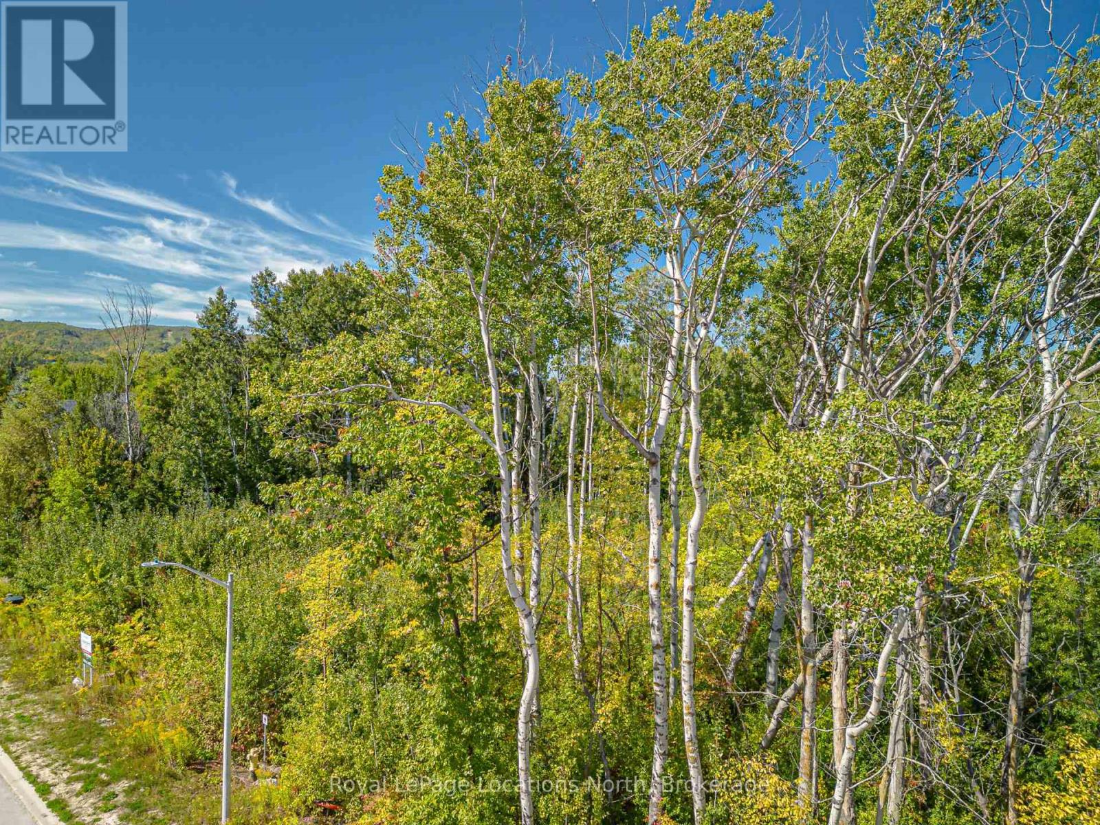 101 Salzburg Place, Blue Mountains, Ontario  L9Y 0S2 - Photo 6 - X12414816