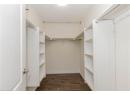 Spacious closet with dark wood finished floors