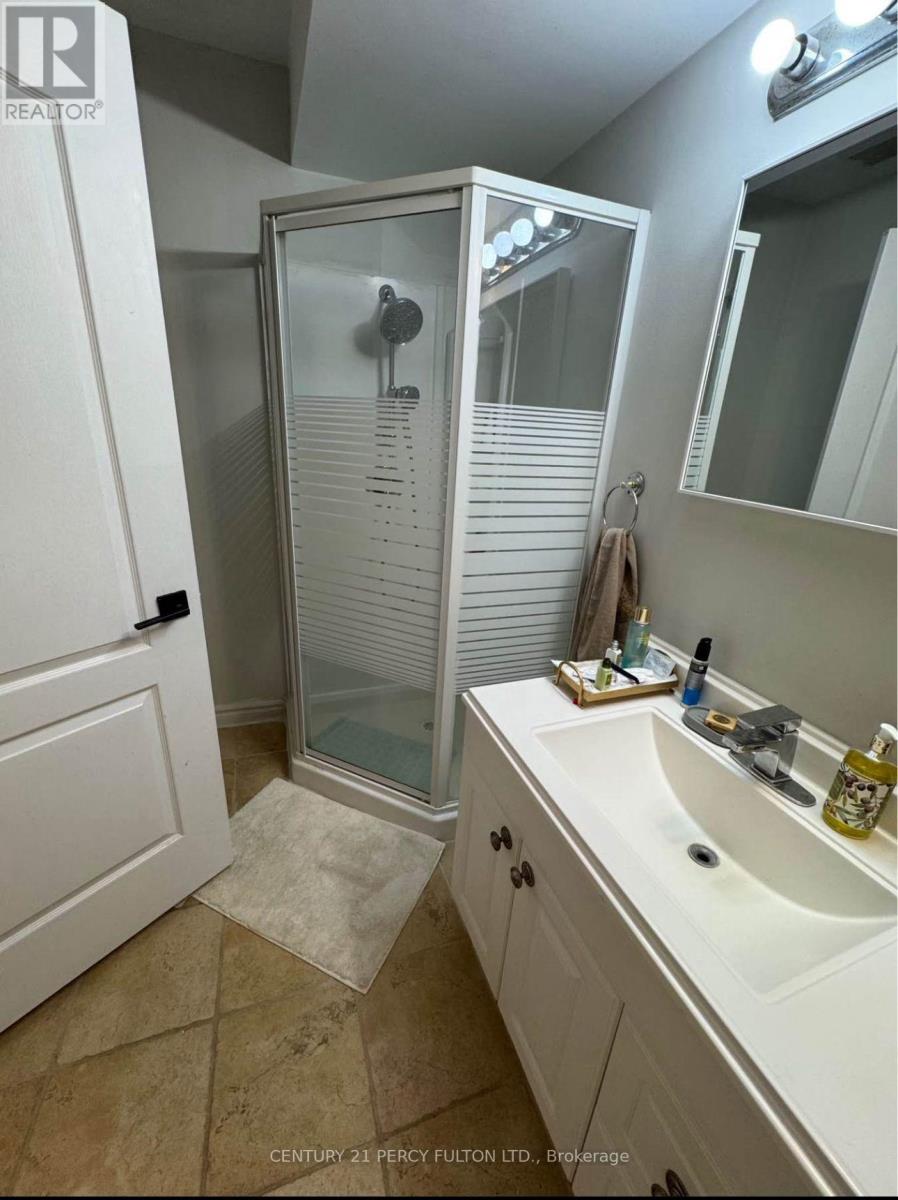 Basment - 207 Shaftsbury Avenue, Richmond Hill, Ontario  L4C 0E8 - Photo 11 - N12402379