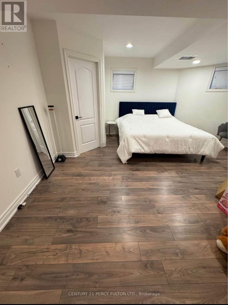 Basment - 207 Shaftsbury Avenue, Richmond Hill, Ontario  L4C 0E8 - Photo 10 - N12402379
