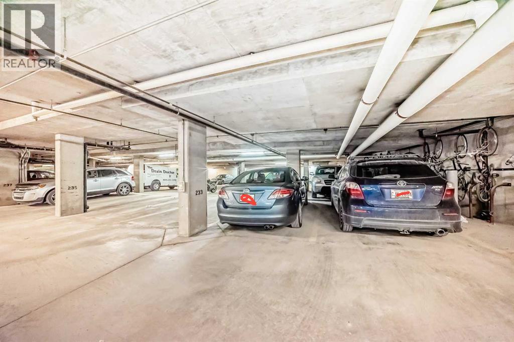 241, 35 Richard Court Sw, Calgary, Alberta  T2E 7N9 - Photo 35 - A2246206