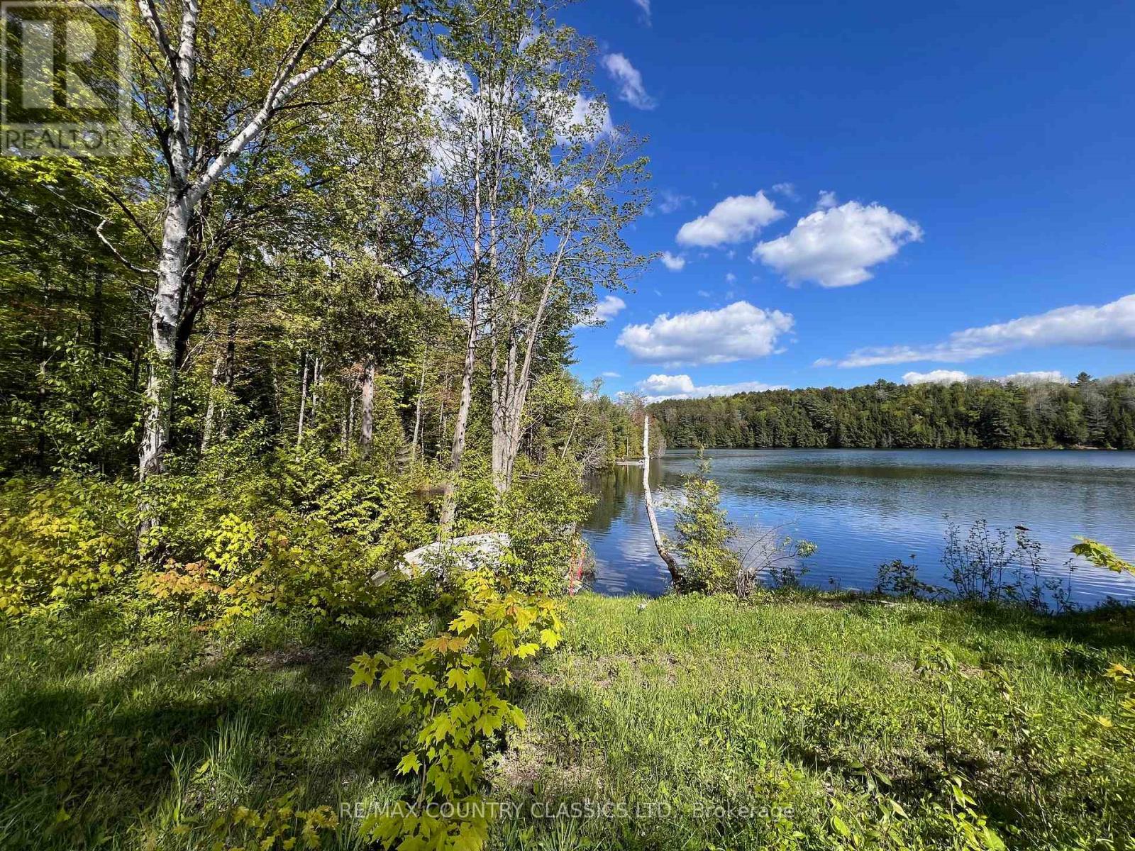 164 Trout Lake Road, Faraday, Ontario  K0L 1C0 - Photo 44 - X12414842