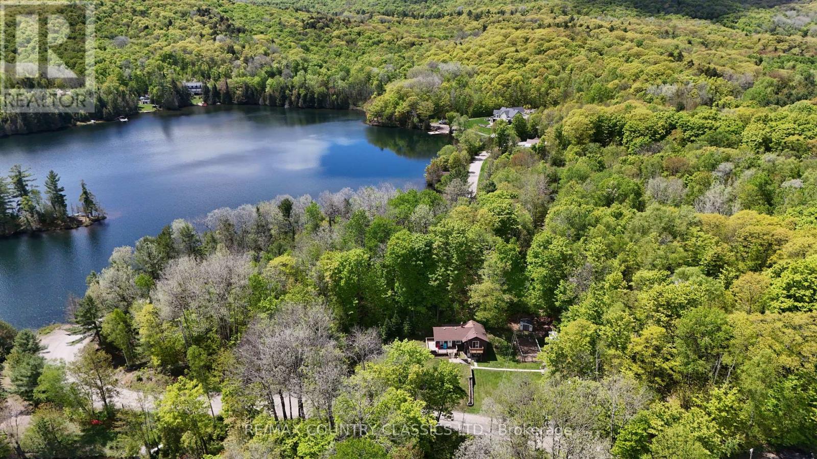 164 Trout Lake Road, Faraday, Ontario  K0L 1C0 - Photo 6 - X12414842