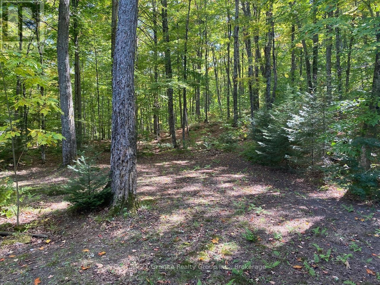 1052 Kensington Road, Dysart Et Al, Ontario  K0M 1S0 - Photo 30 - X12414831