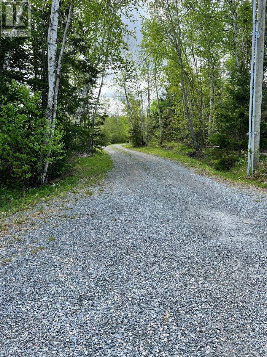27 Tipping Drive, Pasadena, Newfoundland & Labrador  A0L 1K0 - Photo 5 - 1285962