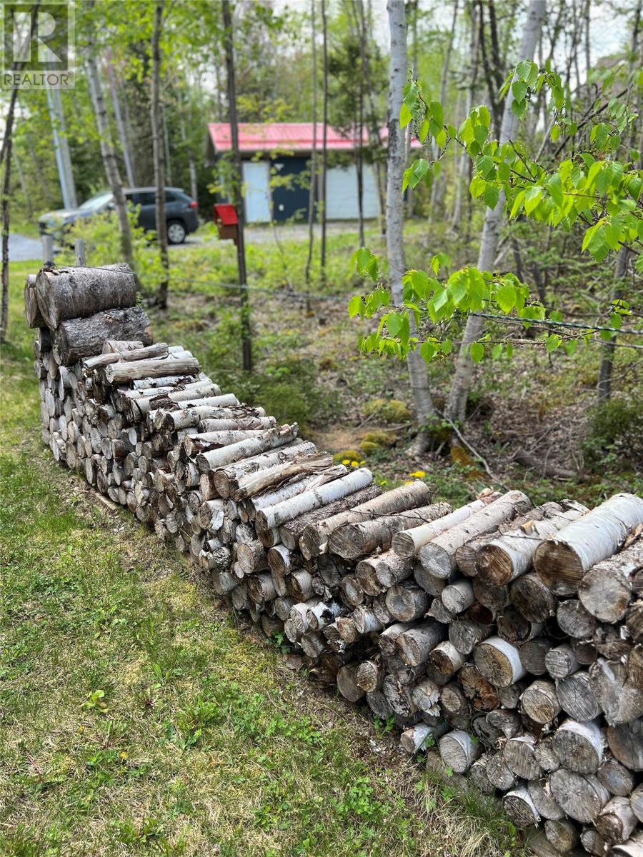 27 Tipping Drive, Pasadena, Newfoundland & Labrador  A0L 1K0 - Photo 30 - 1285962