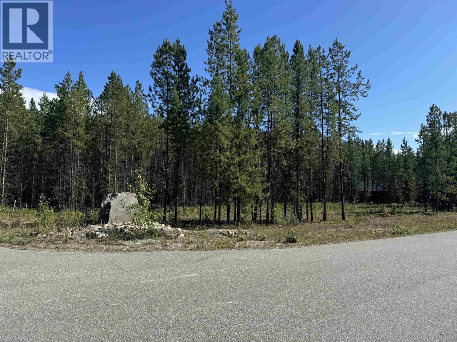 1295 FOWLER PLACE, Valemount, British Columbia