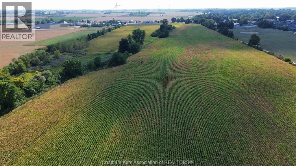 247 Chatham Street South, Blenheim, Ontario  N0P 1A0 - Photo 11 - 25023879