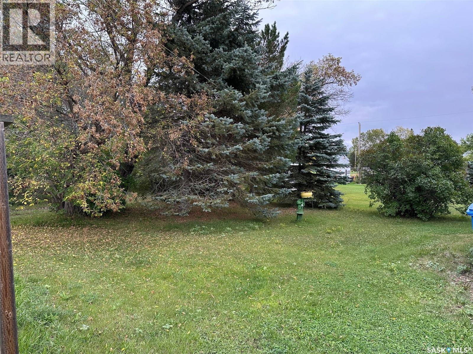 211 North Street, Stoughton, Saskatchewan  S0G 4T0 - Photo 30 - SK018843