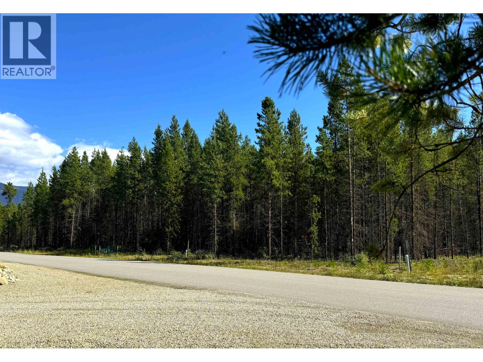 1285 FOWLER PLACE, Valemount, British Columbia