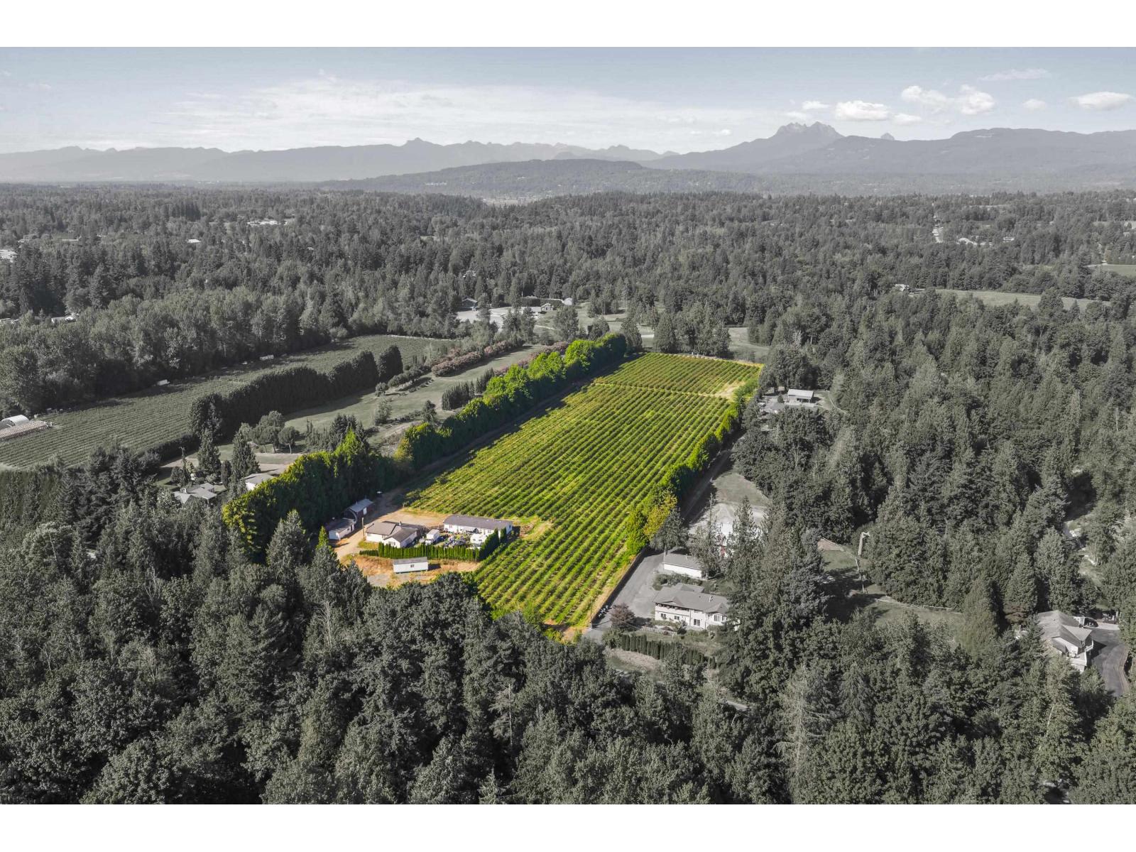 Property at 27911 56 AVENUE image 4