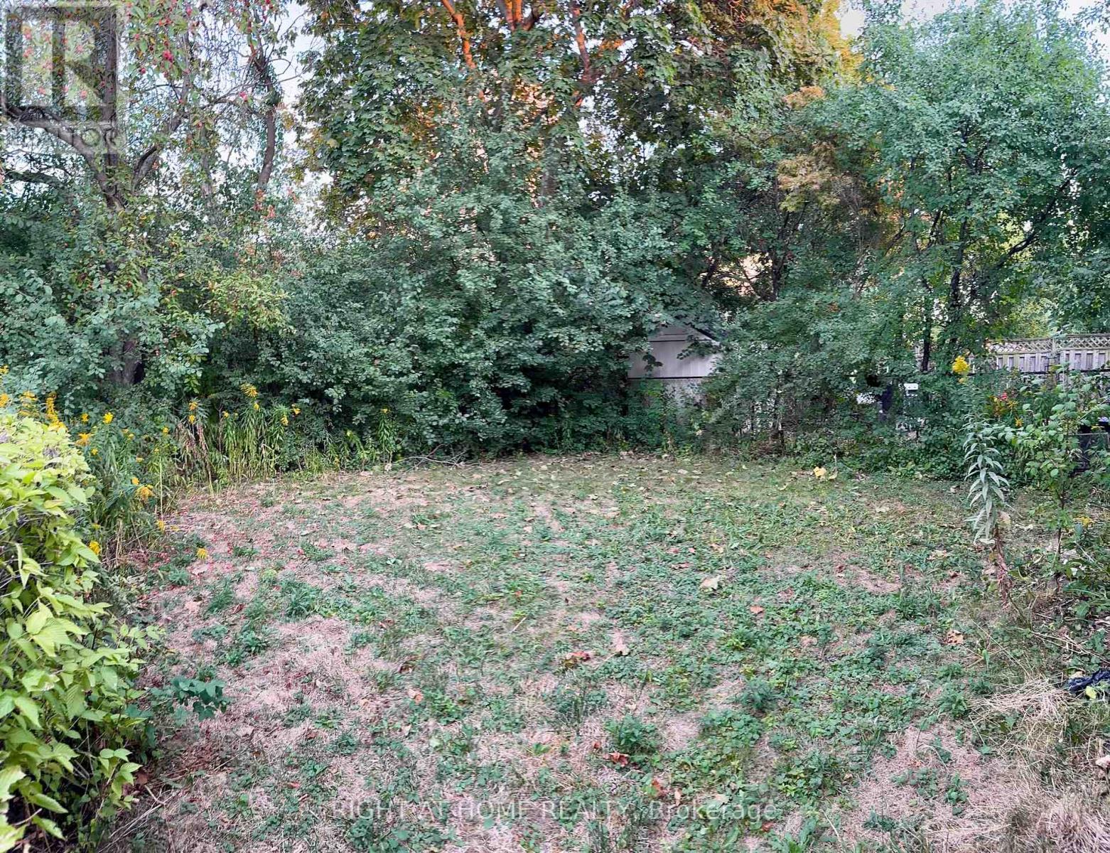 87 Fenelon Drive, Toronto, Ontario  M3A 3K4 - Photo 6 - C12410975