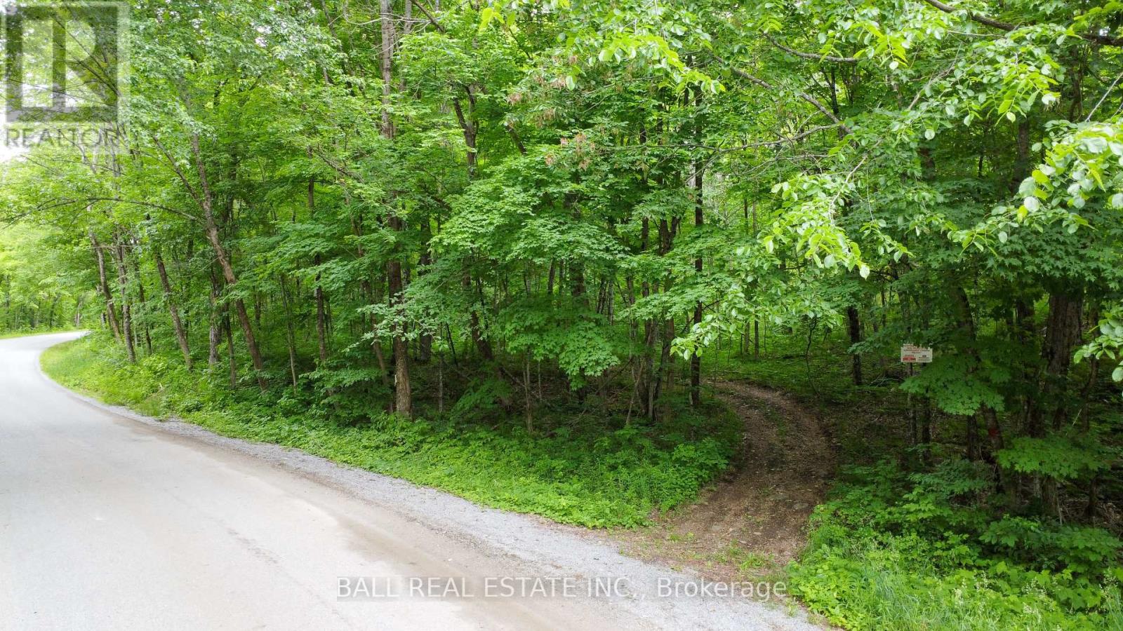 0 Northern Avenue, Trent Lakes, Ontario  K0M 1A0 - Photo 1 - X12415209