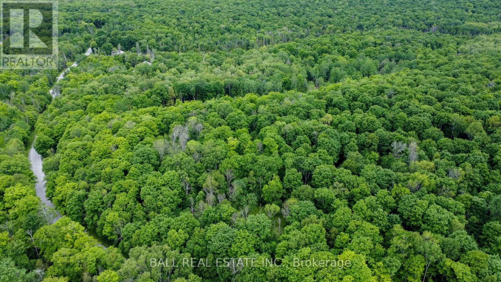 0 Northern Avenue, Trent Lakes, Ontario  K0M 1A0 - Photo 10 - X12415209