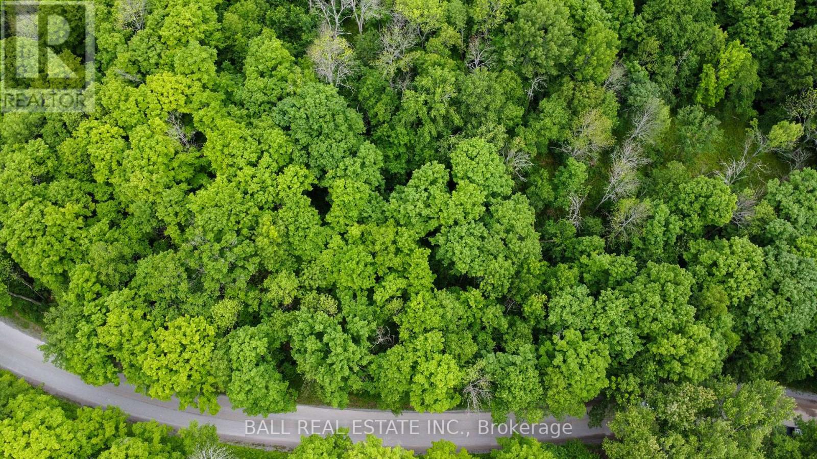 0 Northern Avenue, Trent Lakes, Ontario  K0M 1A0 - Photo 12 - X12415209