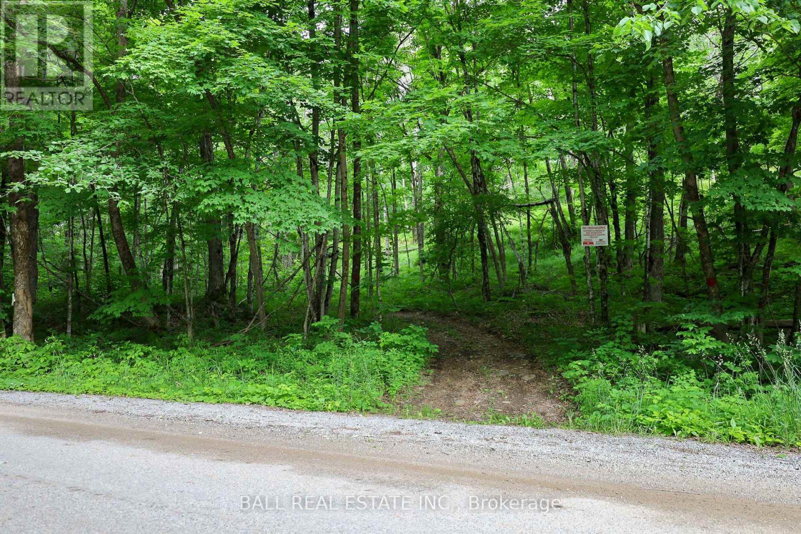 0 Northern Avenue, Trent Lakes, Ontario  K0M 1A0 - Photo 18 - X12415209