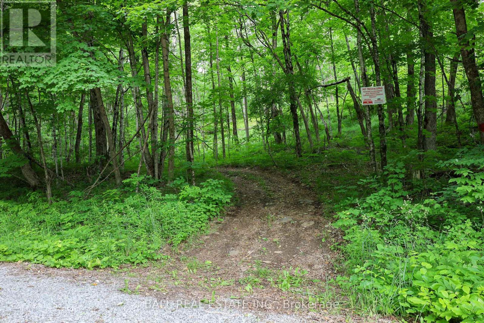 0 Northern Avenue, Trent Lakes, Ontario  K0M 1A0 - Photo 19 - X12415209