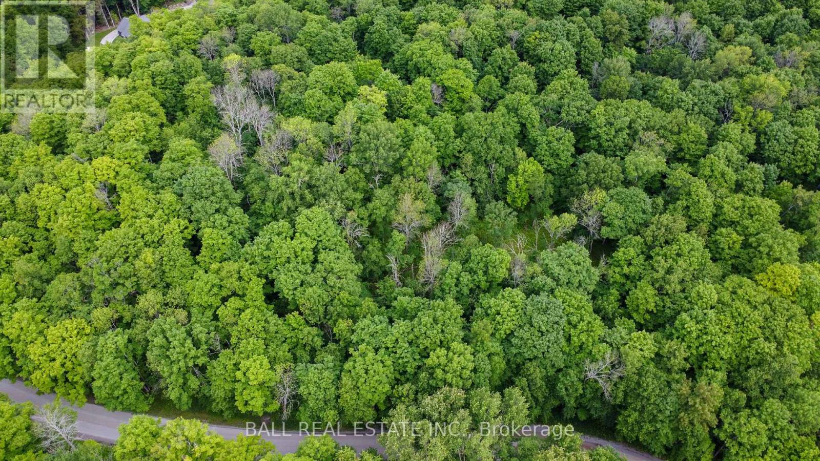 0 Northern Avenue, Trent Lakes, Ontario  K0M 1A0 - Photo 2 - X12415209