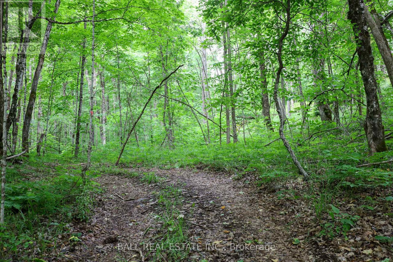 0 Northern Avenue, Trent Lakes, Ontario  K0M 1A0 - Photo 21 - X12415209