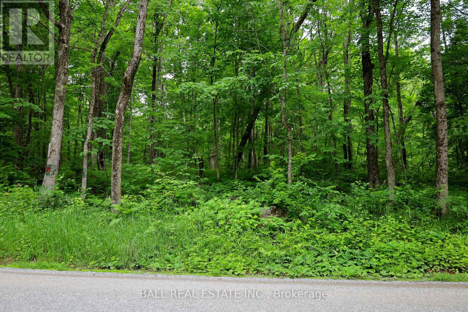 0 Northern Avenue, Trent Lakes, Ontario  K0M 1A0 - Photo 22 - X12415209