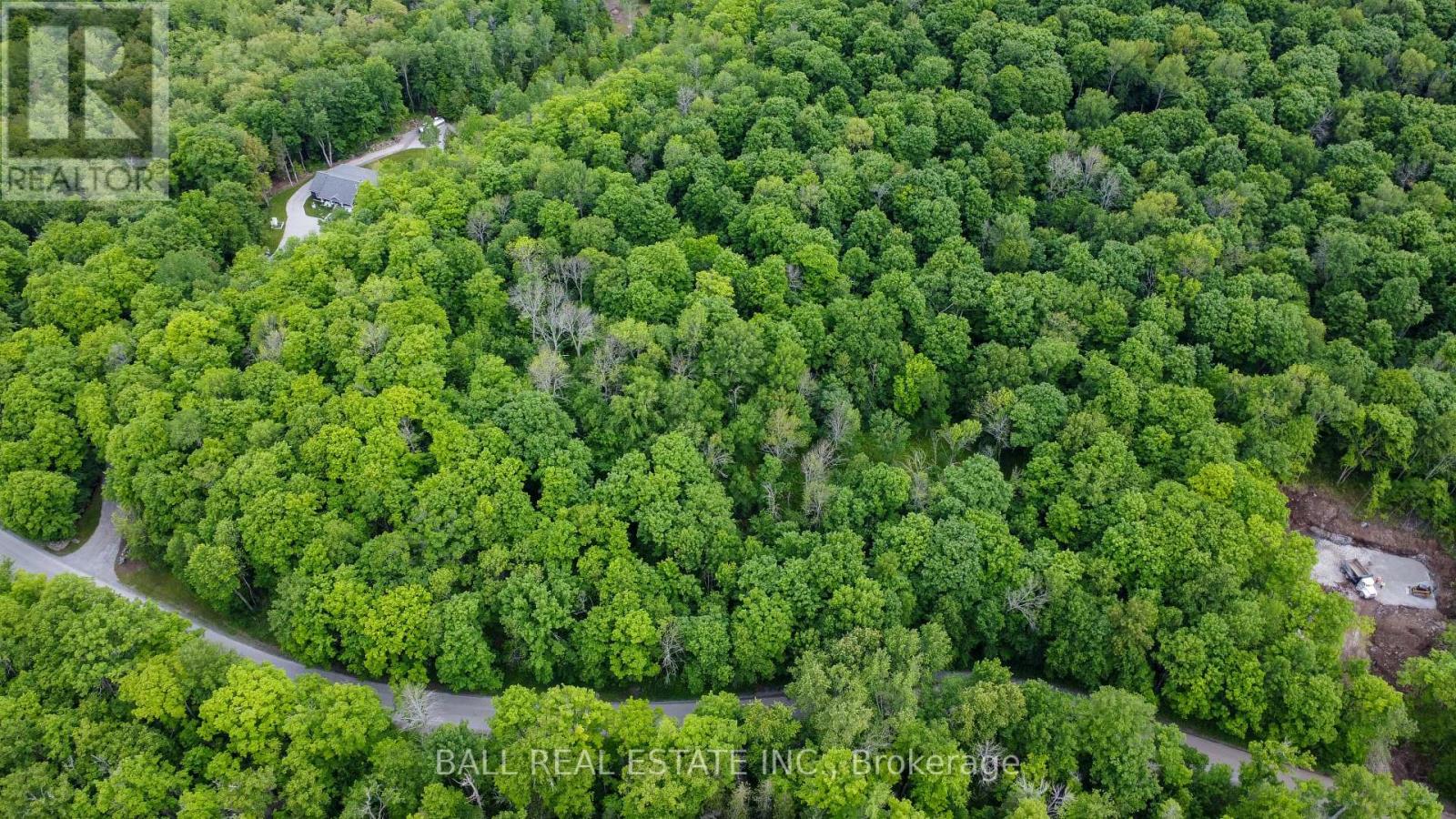 0 Northern Avenue, Trent Lakes, Ontario  K0M 1A0 - Photo 6 - X12415209