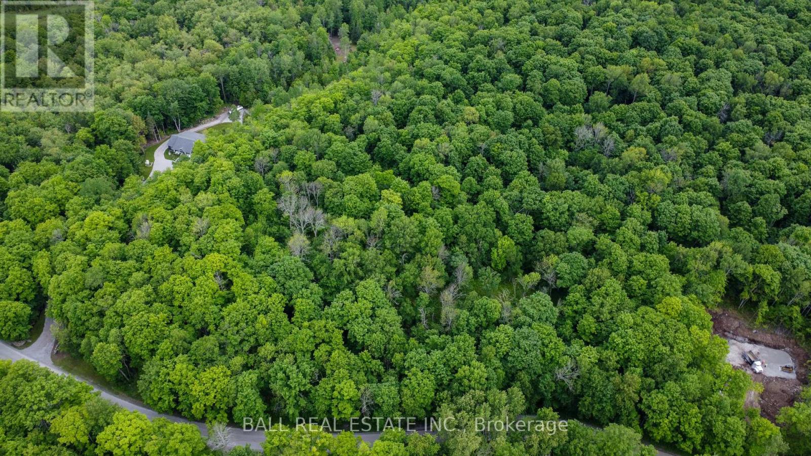 0 Northern Avenue, Trent Lakes, Ontario  K0M 1A0 - Photo 7 - X12415209