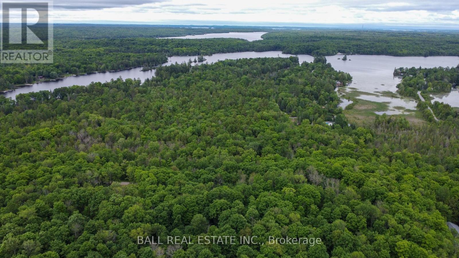 0 Northern Avenue, Trent Lakes, Ontario  K0M 1A0 - Photo 8 - X12415209