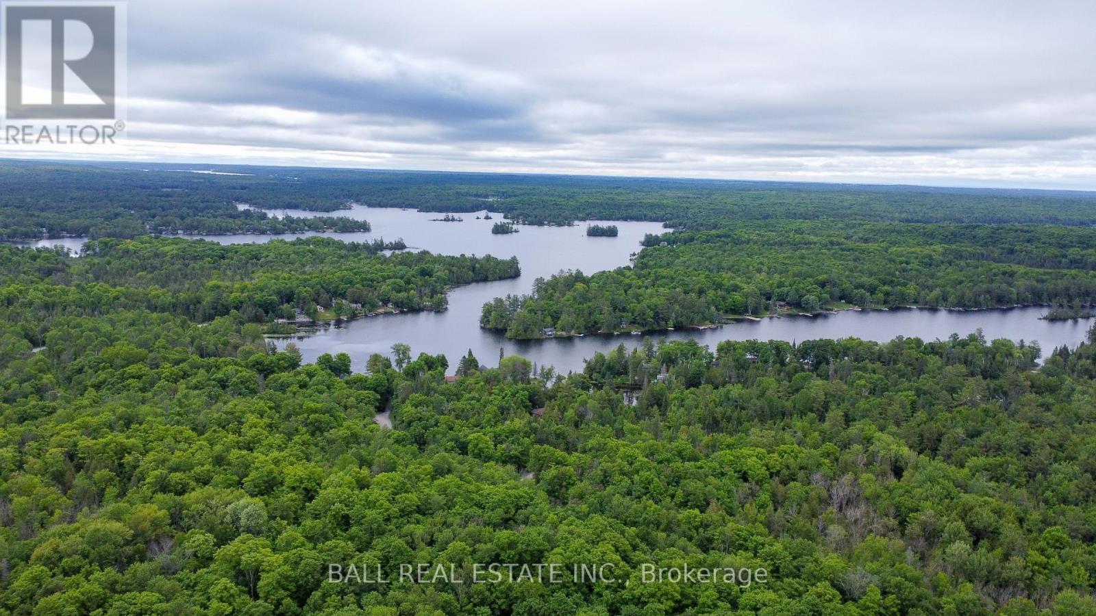 0 Northern Avenue, Trent Lakes, Ontario  K0M 1A0 - Photo 9 - X12415209