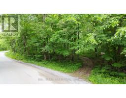 0 Northern Avenue, Trent Lakes, Ca