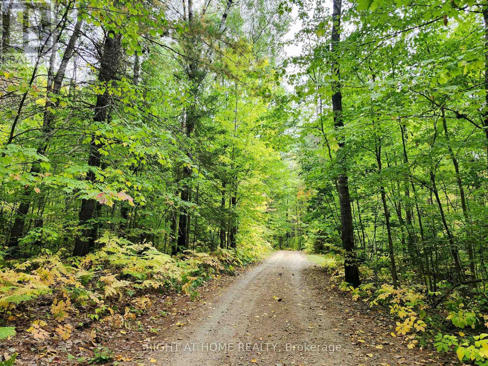 618 Hwy 630, Calvin, Ontario  P0H 1V0 - Photo 43 - X12403997