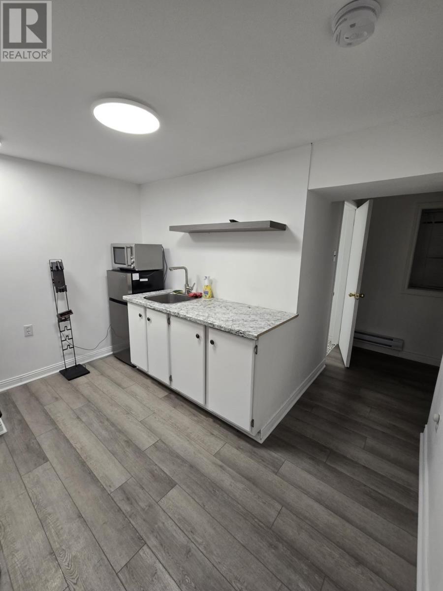 176 Pleasant Street, St. John's, Newfoundland & Labrador  A1E 1L8 - Photo 30 - 1290615