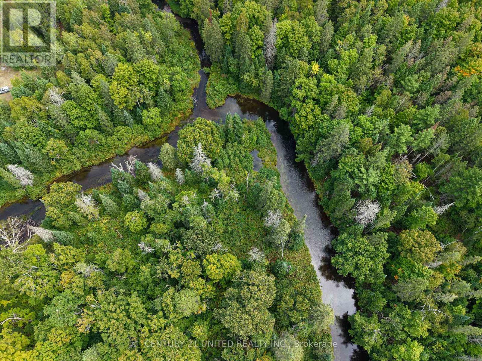 428 Jeff Road, North Kawartha, Ontario  K0L 1C0 - Photo 10 - X12415735