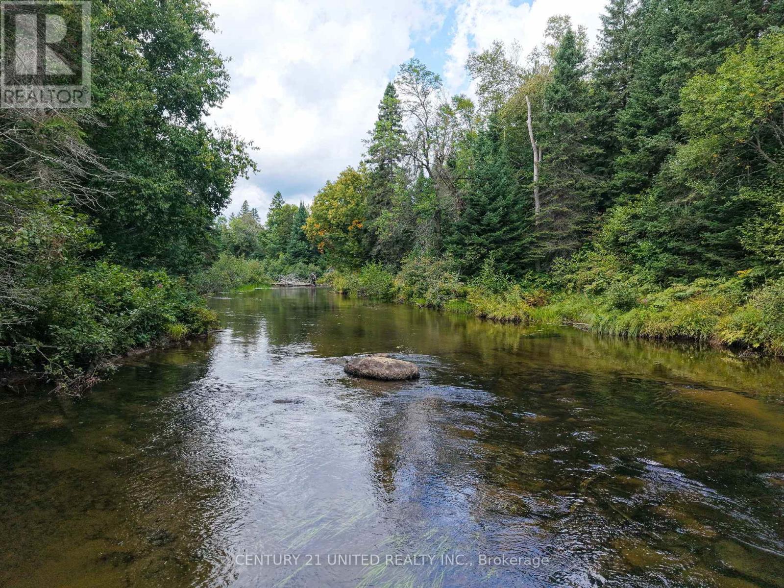 428 Jeff Road, North Kawartha, Ontario  K0L 1C0 - Photo 11 - X12415735