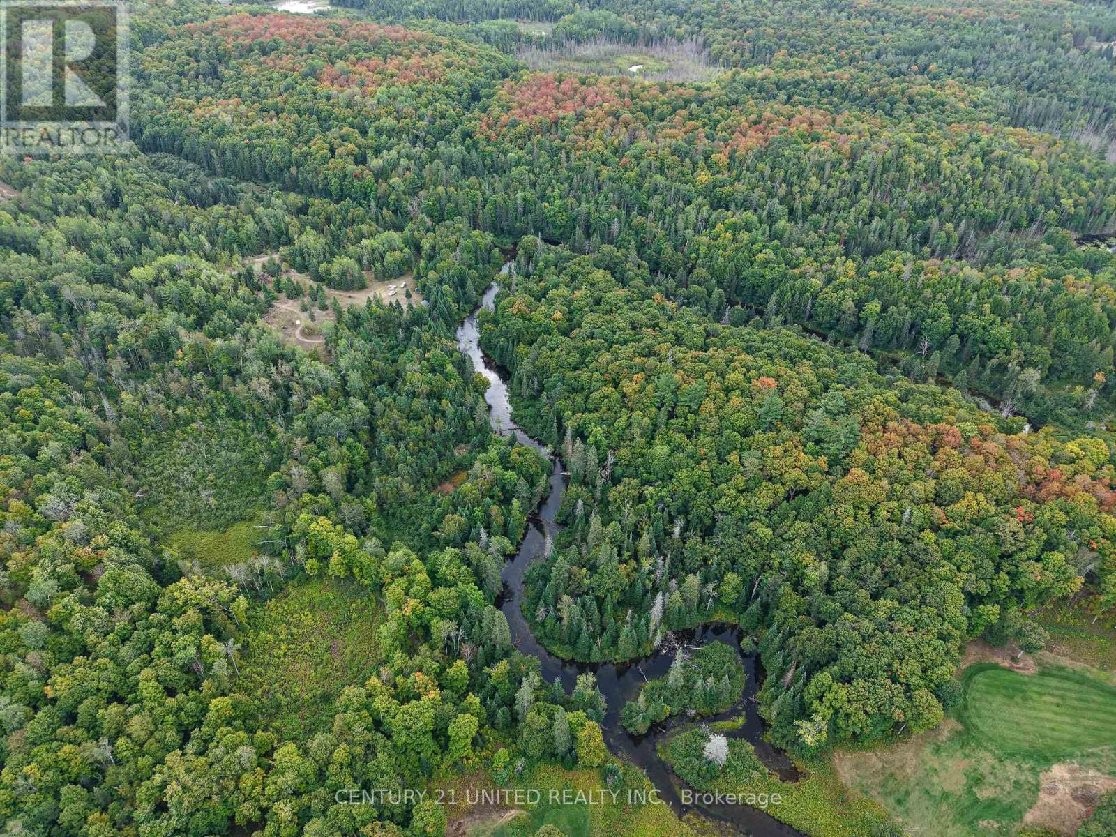 428 Jeff Road, North Kawartha, Ontario  K0L 1C0 - Photo 16 - X12415735