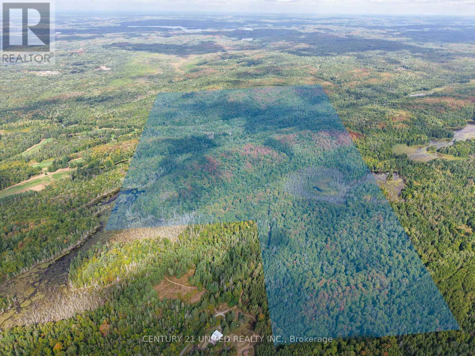 428 Jeff Road, North Kawartha, Ontario  K0L 1C0 - Photo 2 - X12415735