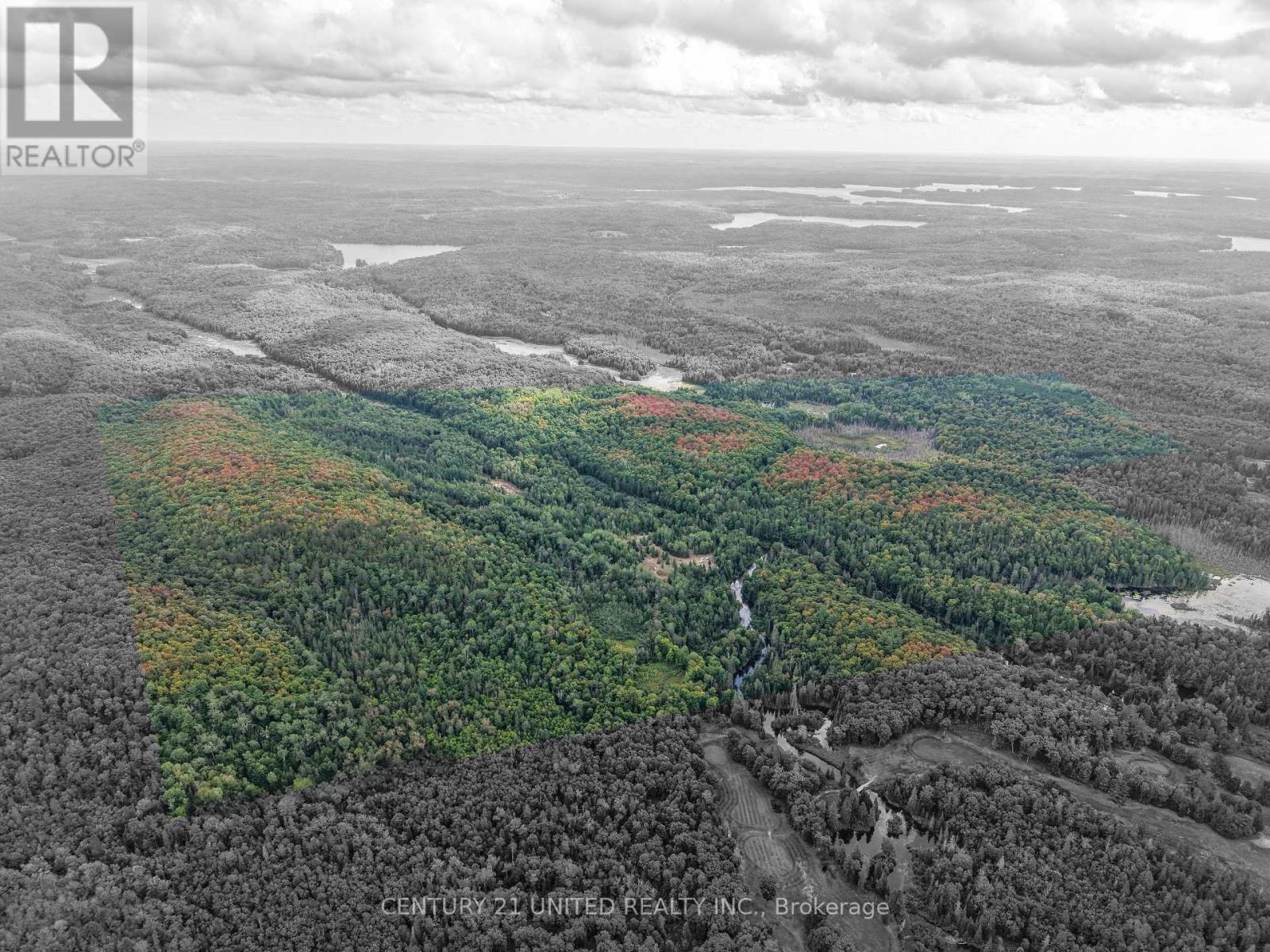 428 Jeff Road, North Kawartha, Ontario  K0L 1C0 - Photo 30 - X12415735