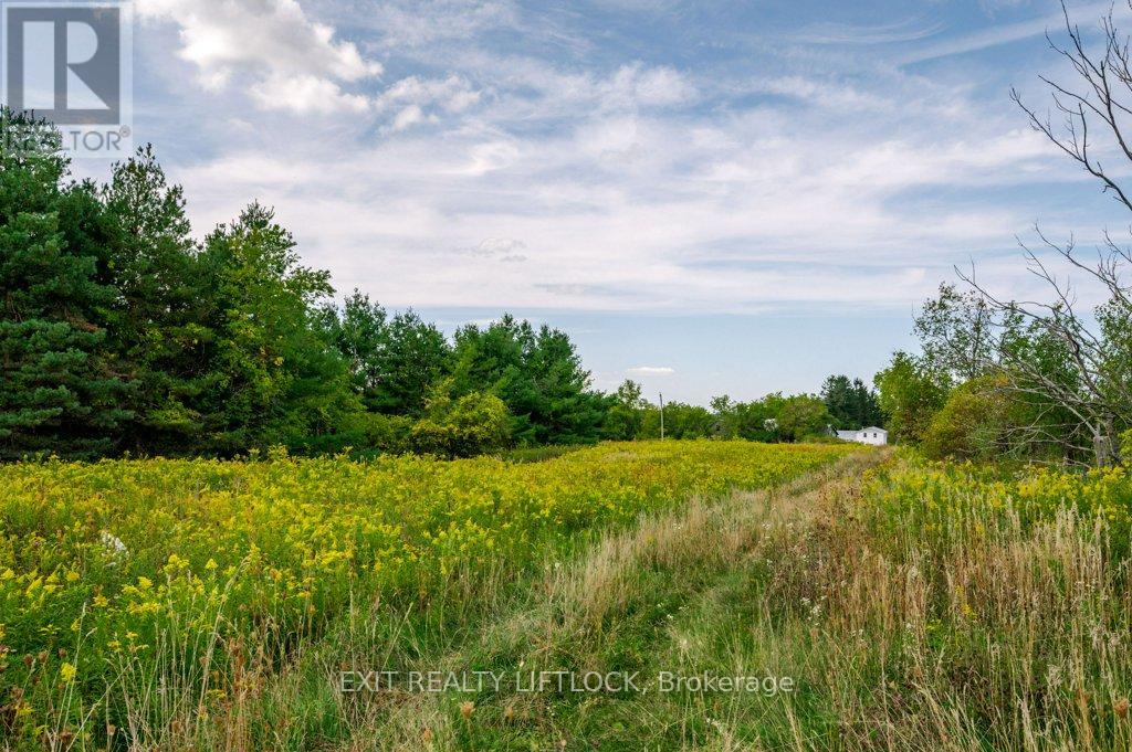 194 County Rd 10, Cavan Monaghan (Cavan Twp), Ontario  L0A 1G0 - Photo 41 - X12415738