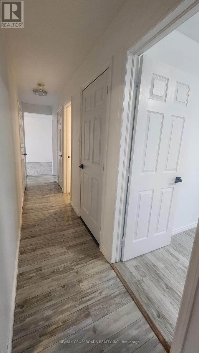 Lower - 295 Dwight Avenue E, Oshawa, Ontario  L1J 1K8 - Photo 11 - E12415642