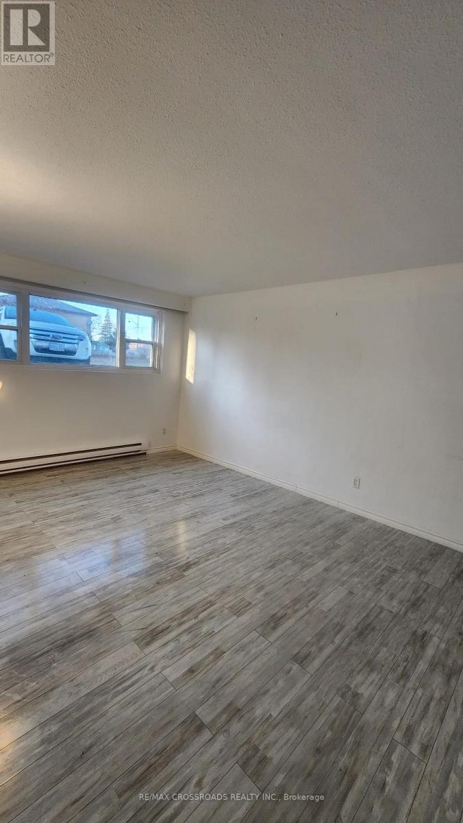 Lower - 295 Dwight Avenue E, Oshawa, Ontario  L1J 1K8 - Photo 4 - E12415642