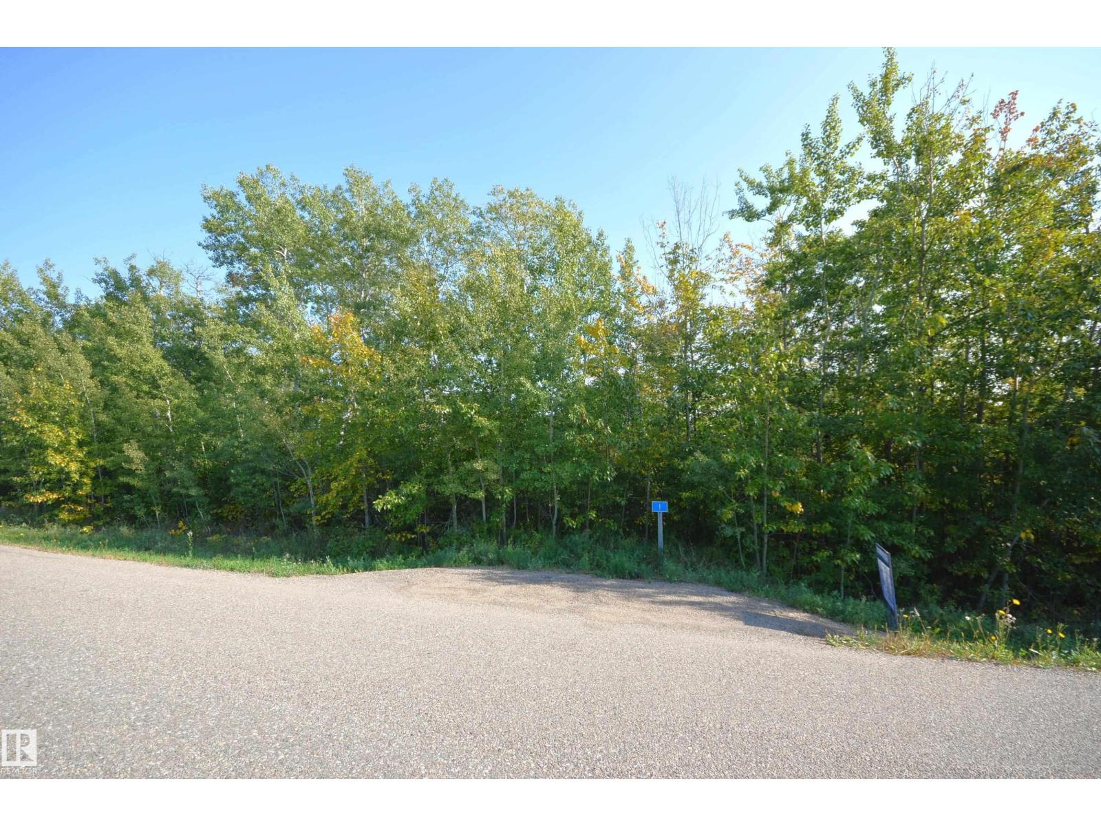 2 46321 Twp Rd 611, Rural Bonnyville M.d., Alberta  T9N 2G9 - Photo 7 - E4458600
