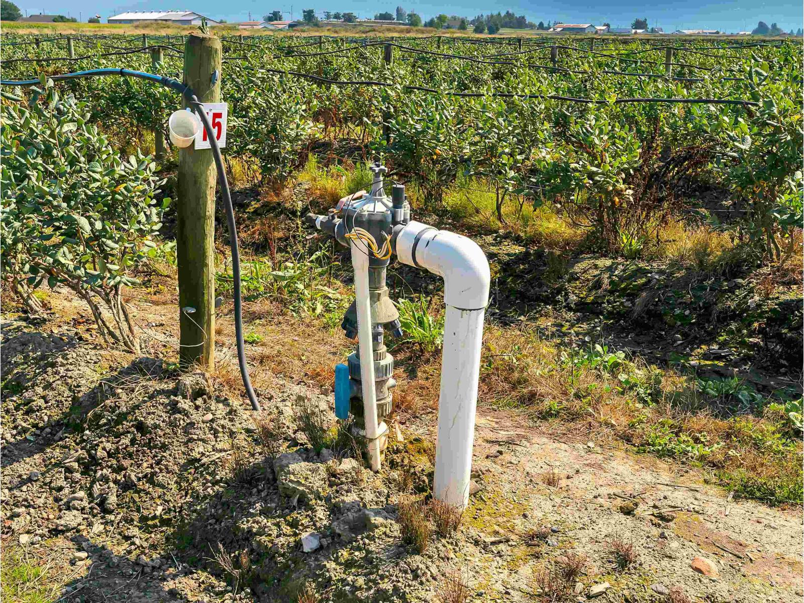 46950 Chilliwack Central Road, East Chilliwack, Chilliwack, British Columbia  V2P 8C5 - Photo 10 - C8072371