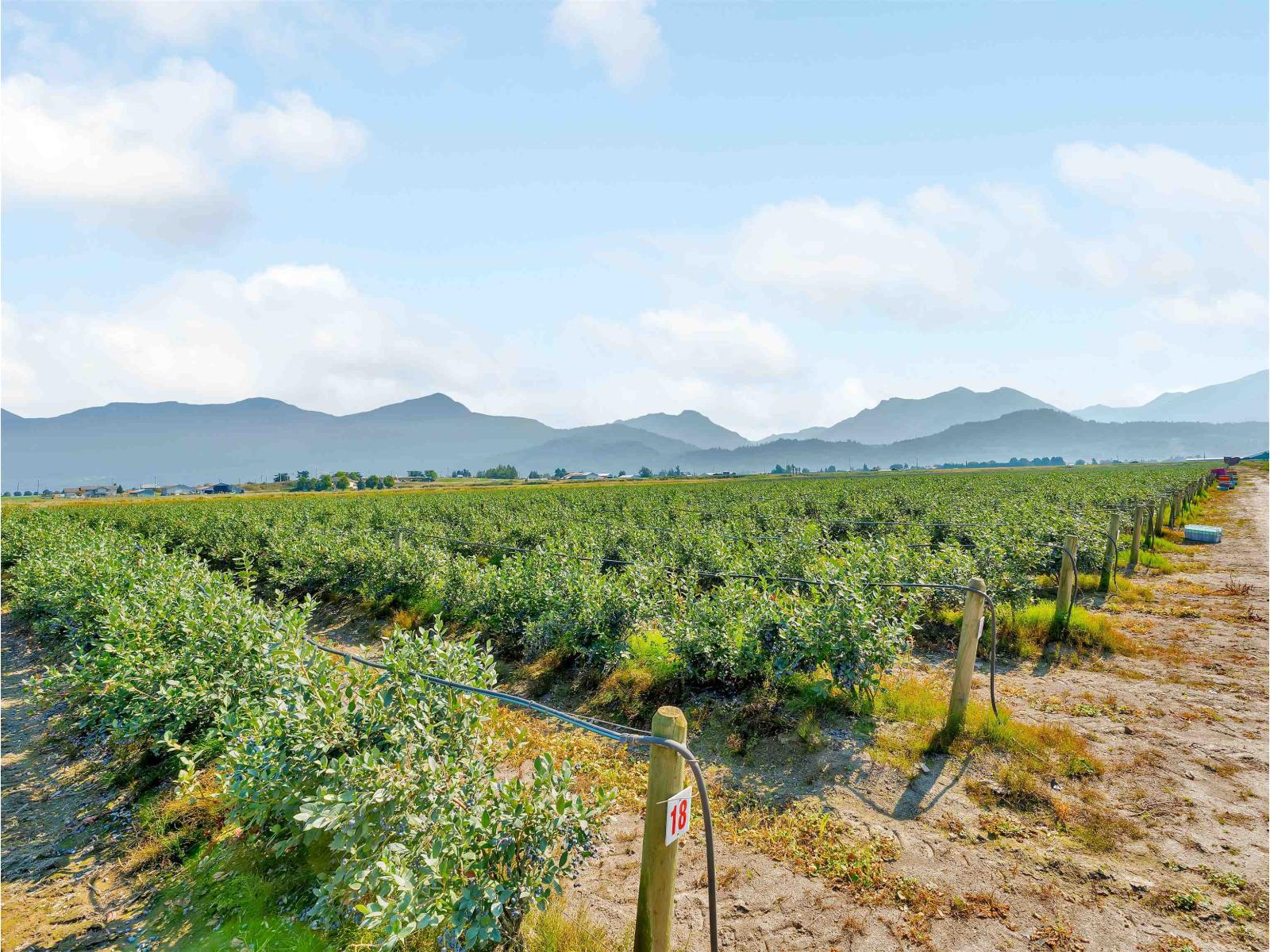 46950 Chilliwack Central Road, East Chilliwack, Chilliwack, British Columbia  V2P 8C5 - Photo 8 - C8072371