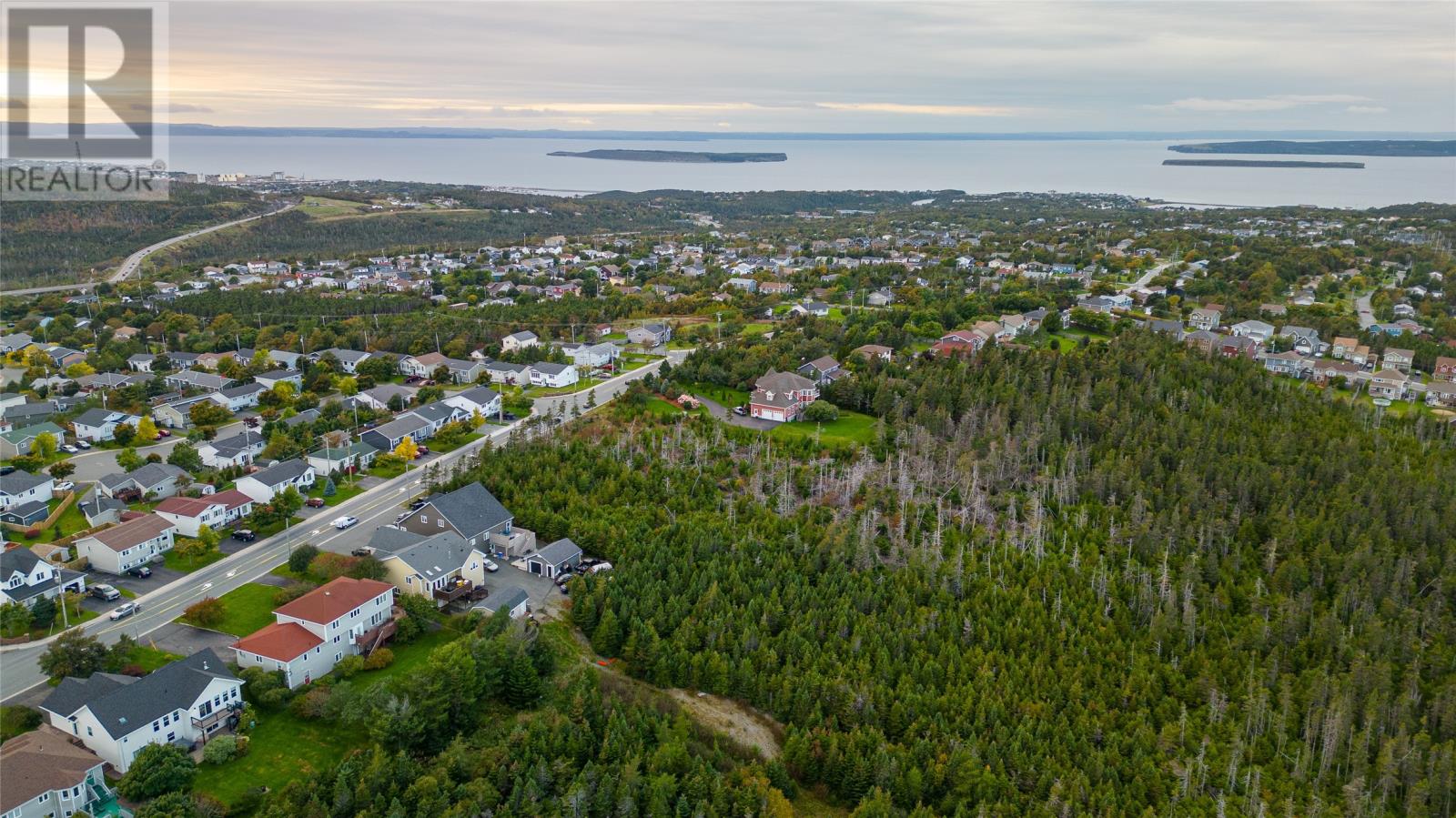329-339 Fowlers Road, Conception Bay South, Newfoundland & Labrador  A1W 4J1 - Photo 2 - 1290692