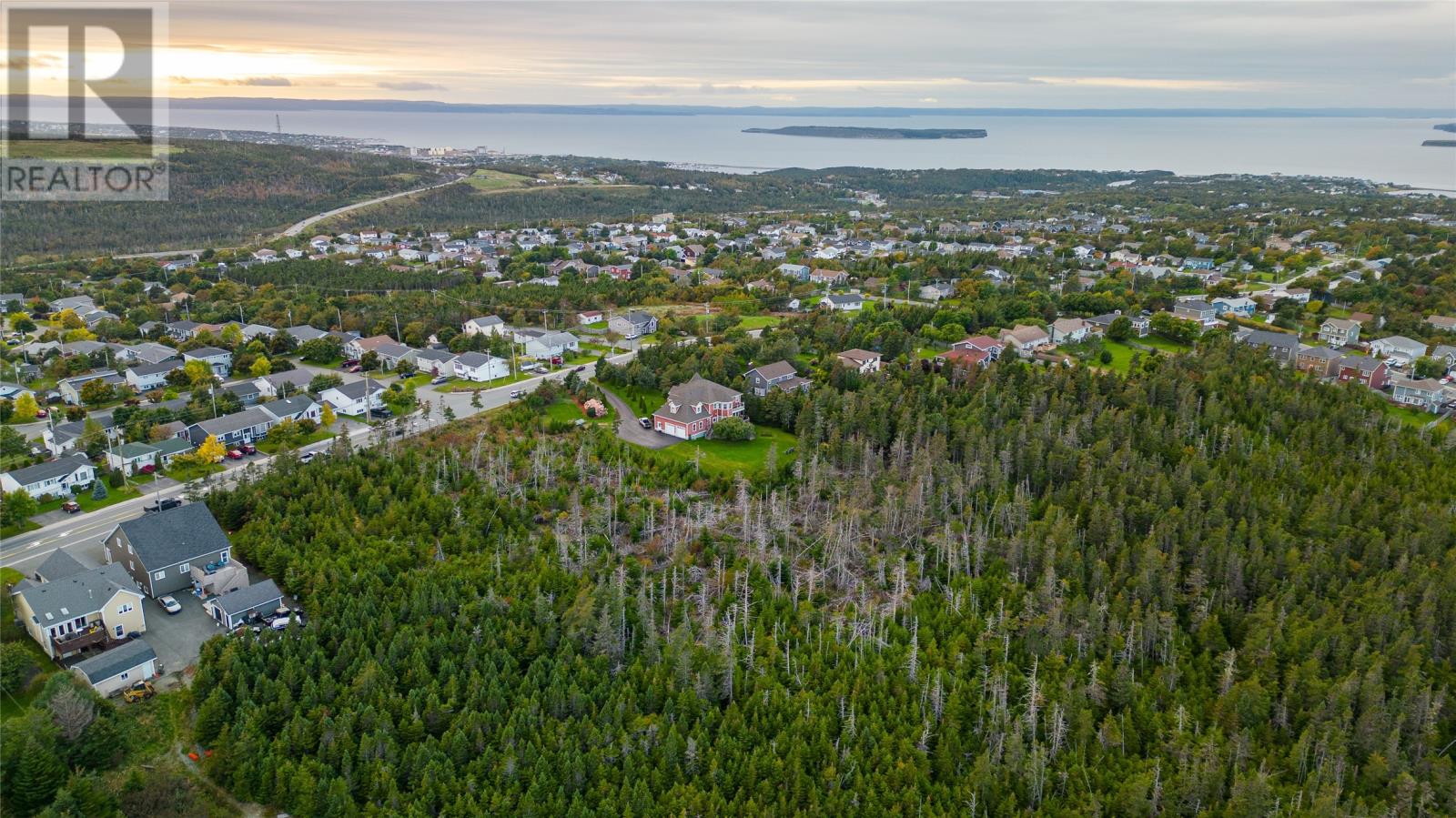 329-339 Fowlers Road, Conception Bay South, Newfoundland & Labrador  A1W 4J1 - Photo 6 - 1290692