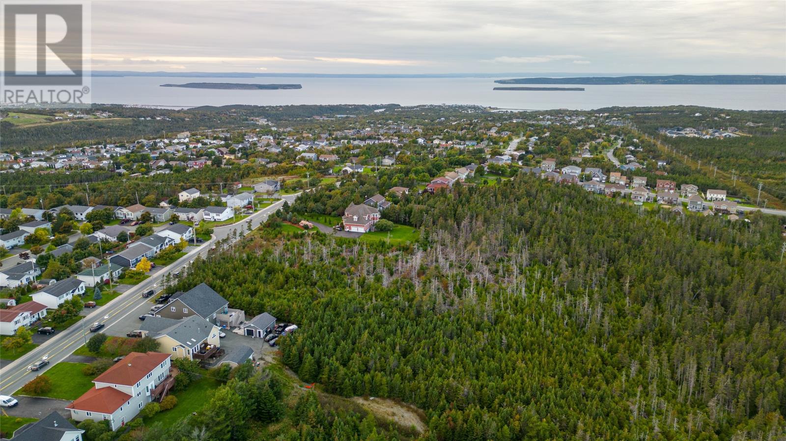 329-339 Fowlers Road, Conception Bay South, Newfoundland & Labrador  A1W 4J1 - Photo 8 - 1290692