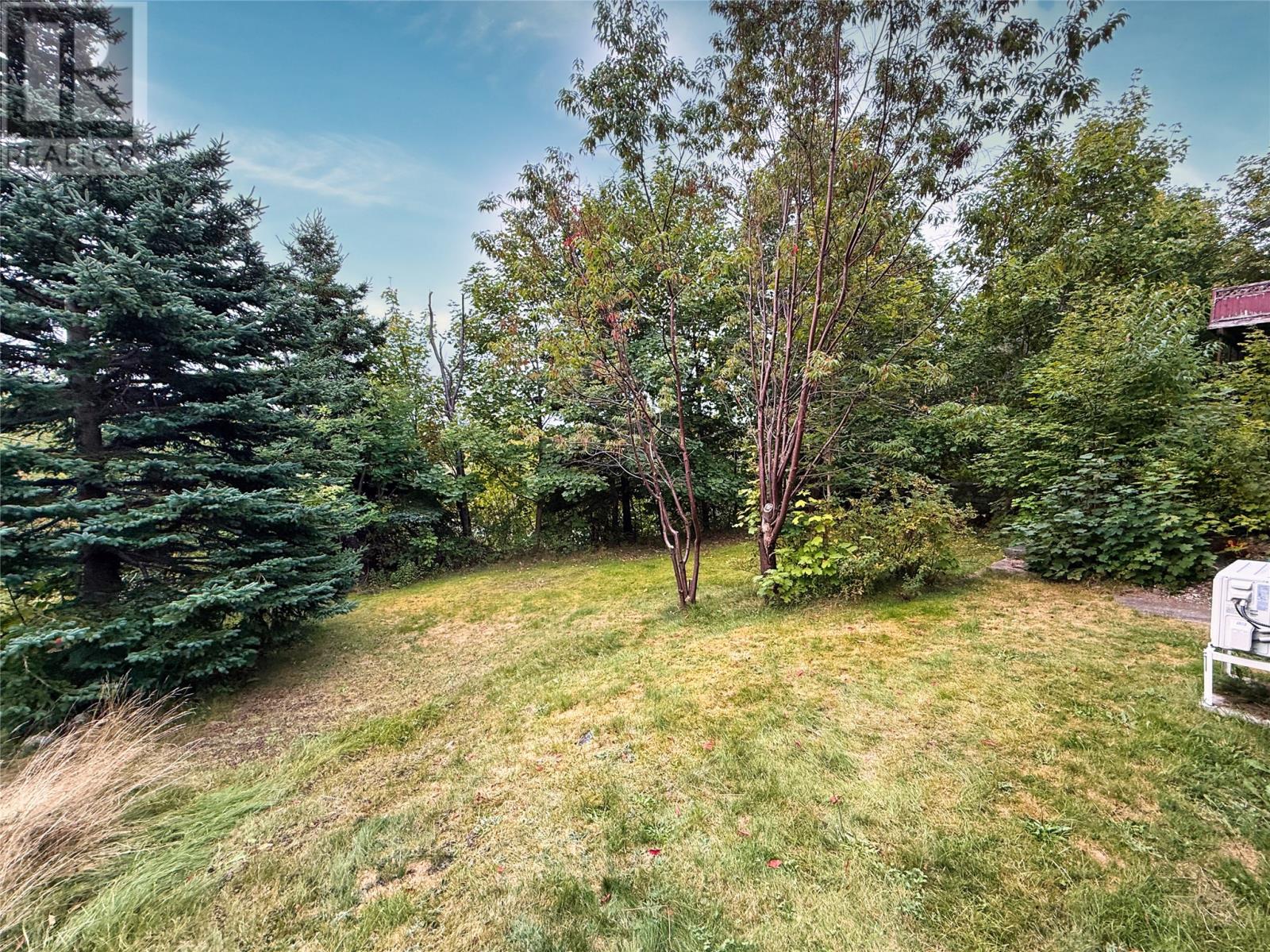 82 Larkhall Street, St. John's, Newfoundland & Labrador  A1B 2C6 - Photo 45 - 1290487