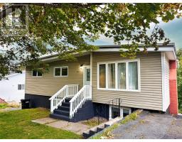 82 Larkhall Street, St. John's, Newfoundland & Labrador